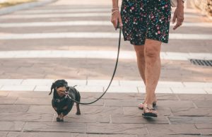 dog-walker-side-gig-economy